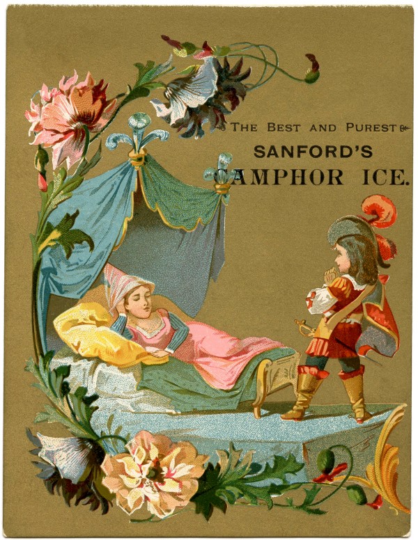 Sleeping Beauty Illustration Graphics Fairy Vintage Poster  Print